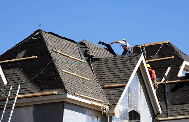 Best Roof Gutter Cleaning  in Perry, LA